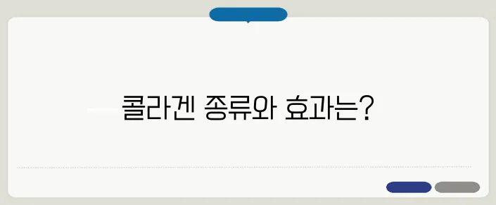 콜라겐의 효능 & 피부 건강 효과 (어떤 종류가 가장 좋을까?)