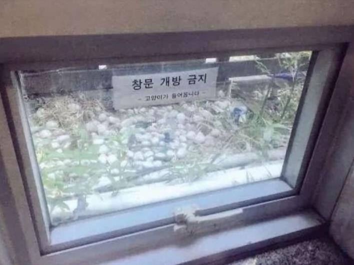  이유가 타당한 창문 개방 금지