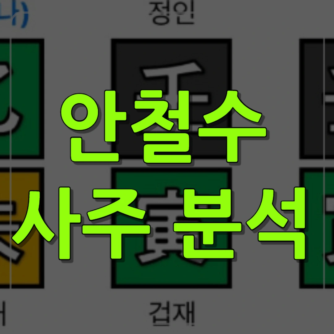 안철수 사주 분석