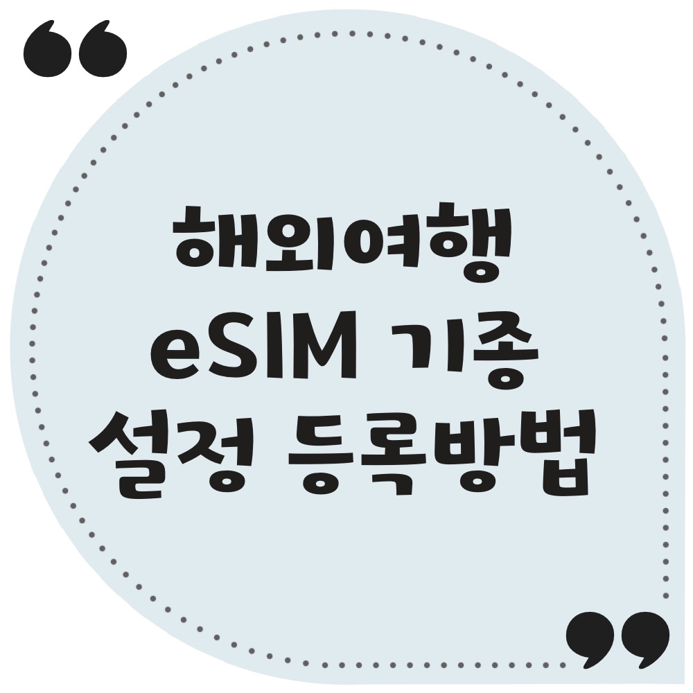 이심설정방법