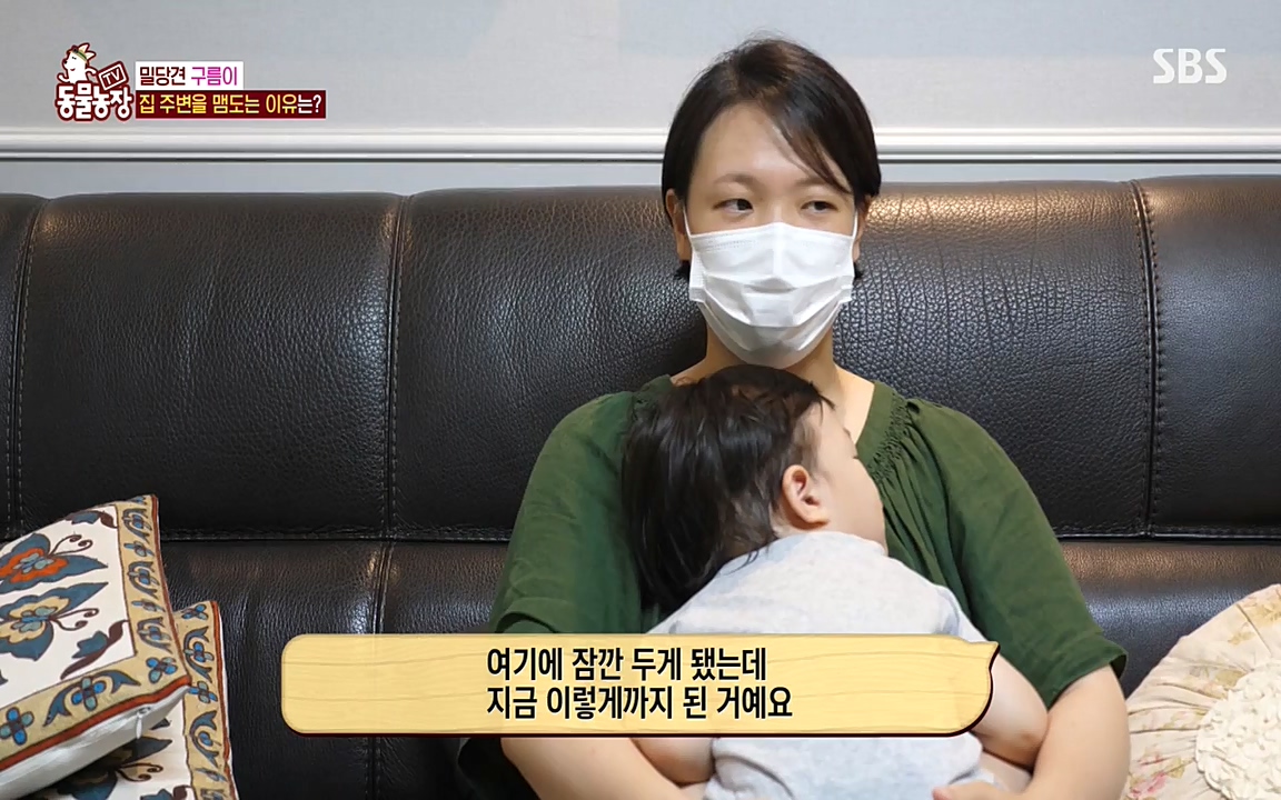 TV 동물농장.E1080.220732p-NEXT.mp4_20220731_174240.118.jpg