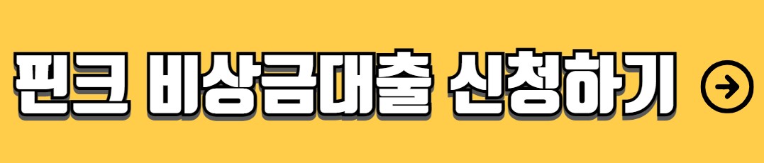 핀크 비상금대출 자격조건 한도 금리 신청방법