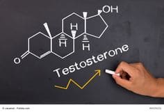 남성호르몬 테스토스테론