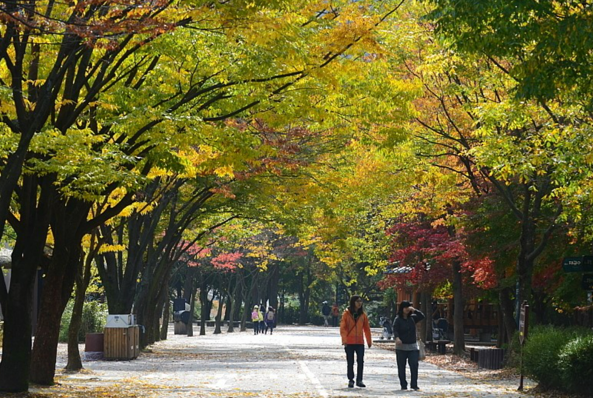 서울대공원 