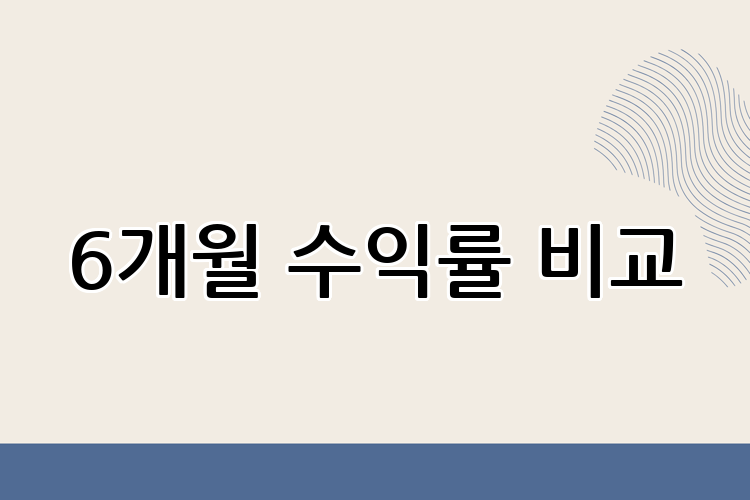 6개월 수익률 비교