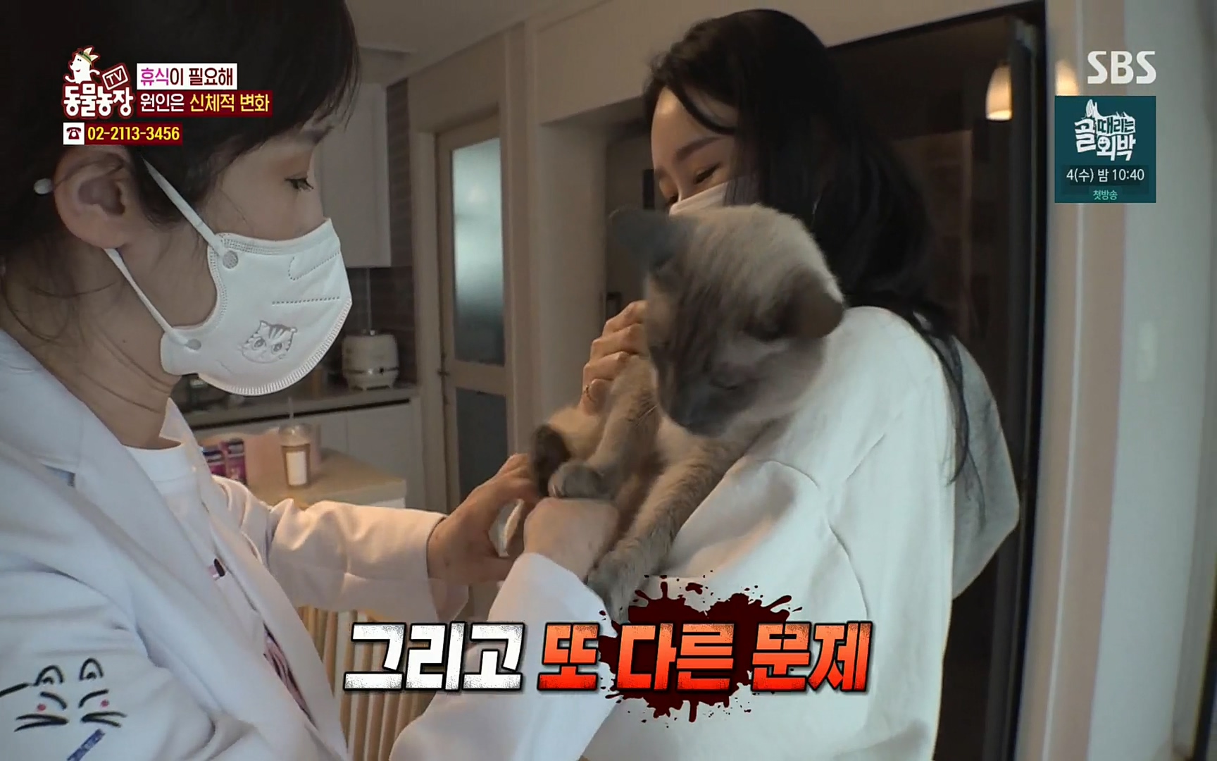 TV 동물농장.E1067.220501p.H264-F1RST.mp4_20220501_182842.724.jpg