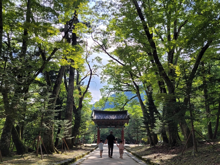  경남 합천 해인사 꼭 가봐야하는 팔만대장경 전국유명사찰