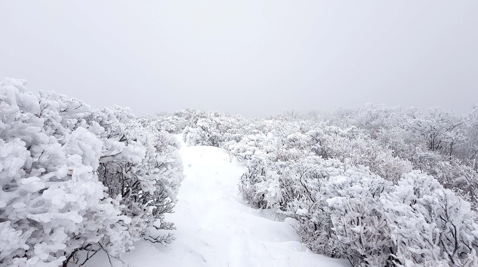 울산 가지산 설경