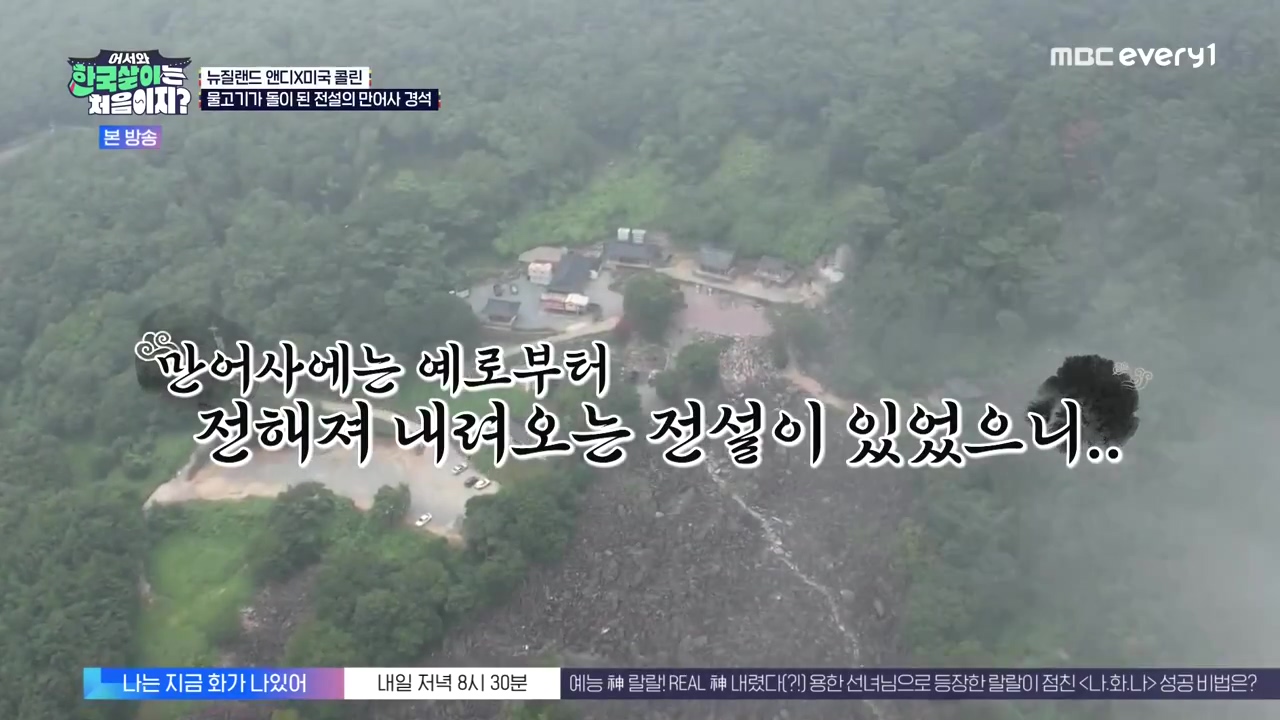 어서와 한국살이는 처음이지.E20.231003p-NEXT.mp4_20231004_195958.131.jpg