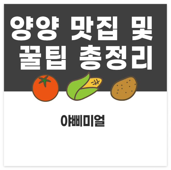  양양 맛집 및 꿀팁 개인적인 리스트 총정리