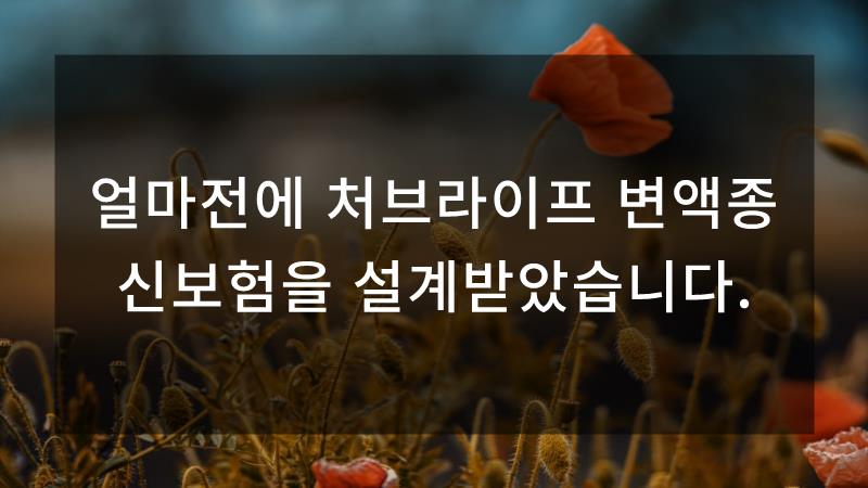 처브라이프매월받는 암생활비 4