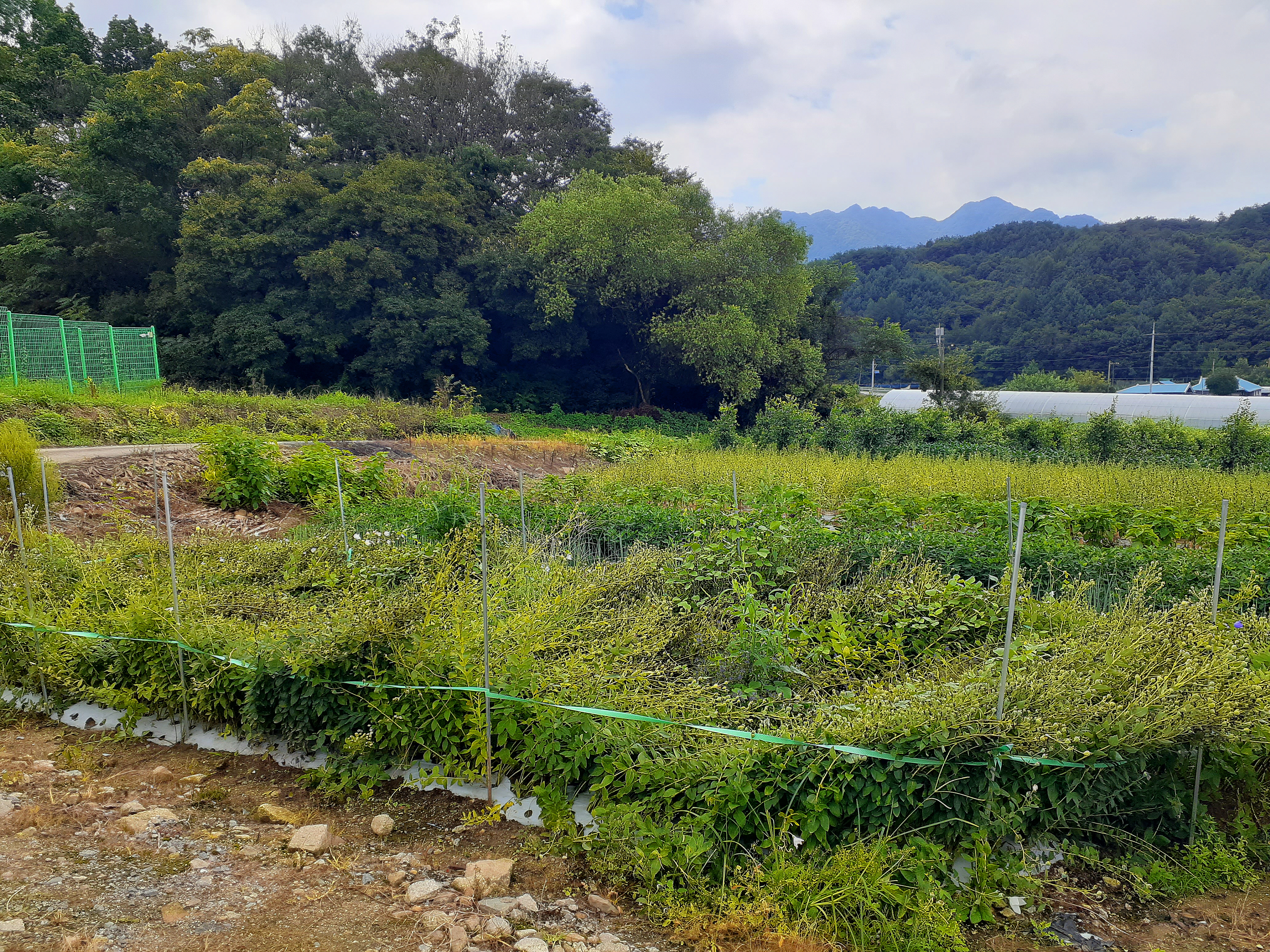 전원종합관리(주) 이미지