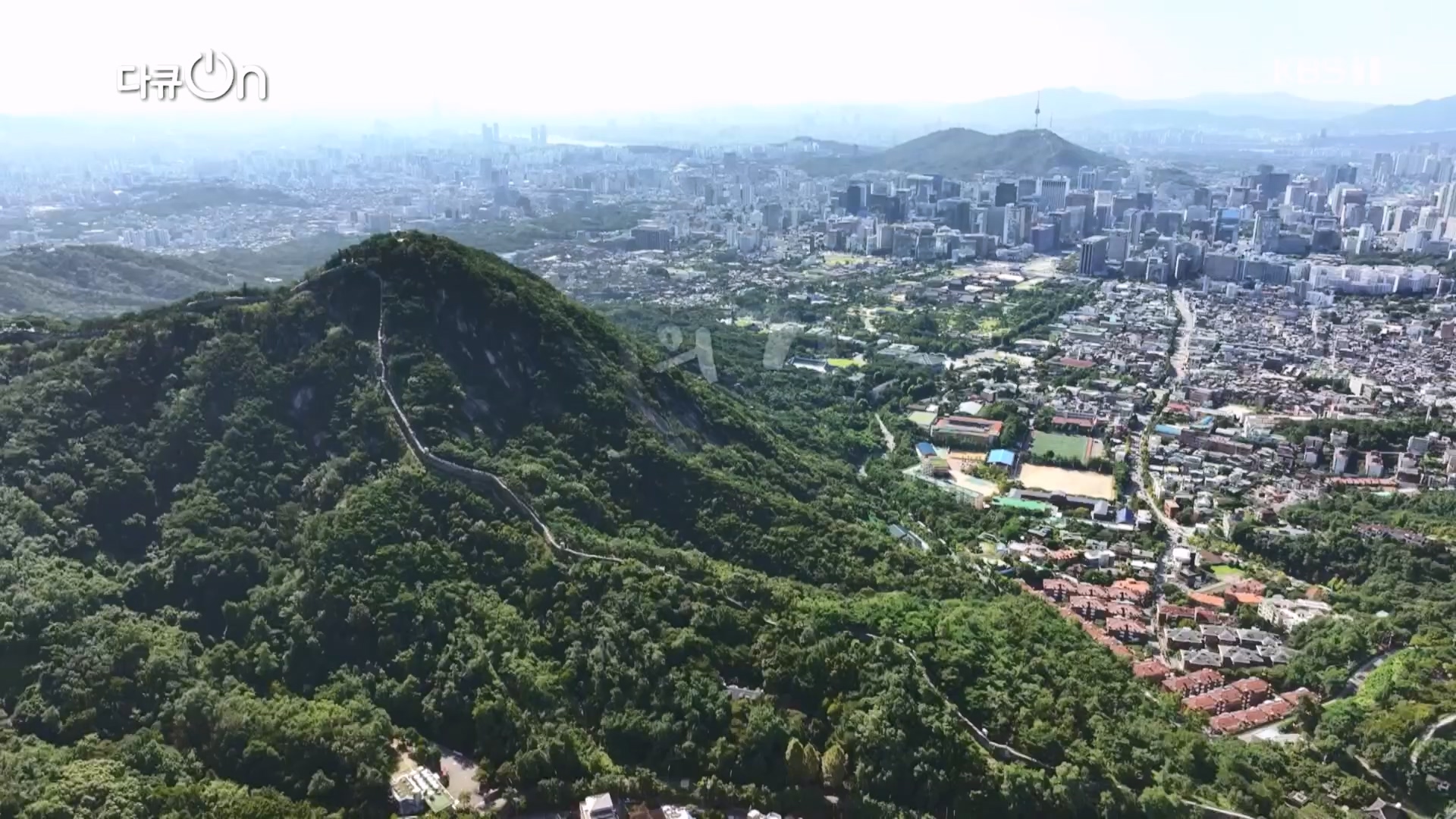 다큐 On.E224.231111p.H264-F1RST.mp4_20231112_182654.564.jpg