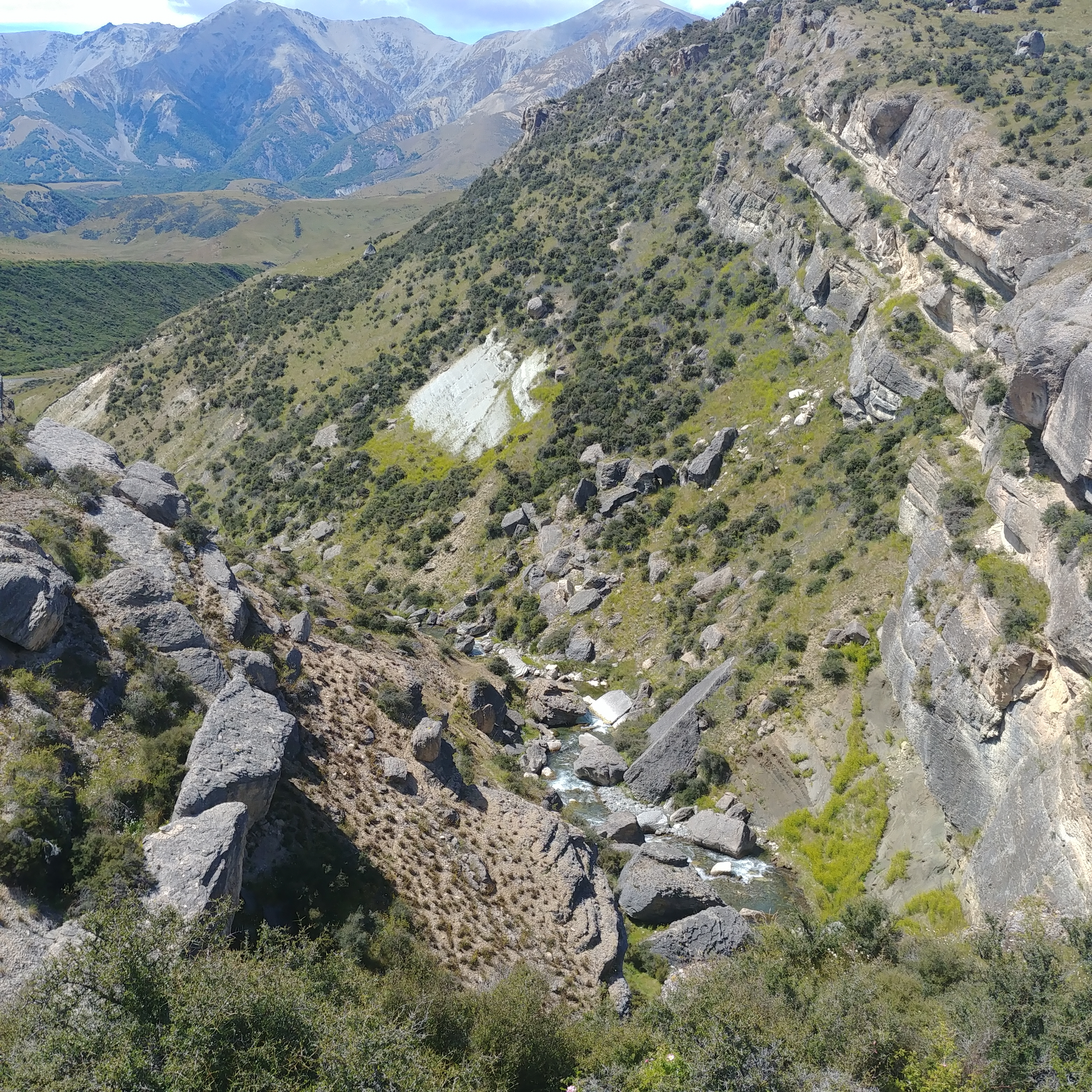 Cave Stream Scenic Reserve