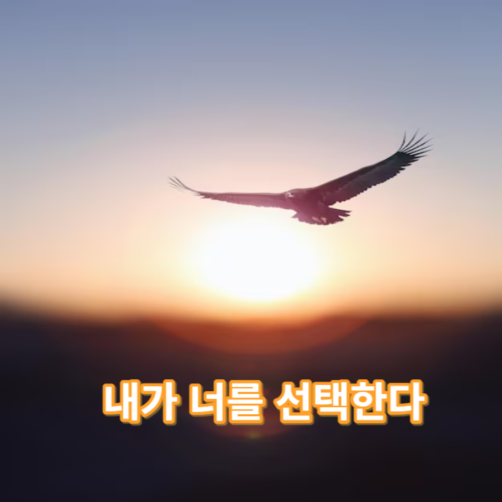 내가 너를 선택한다 찬양