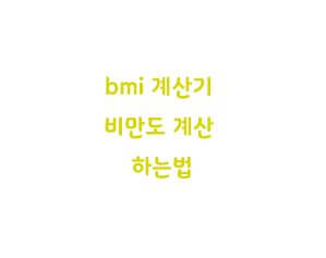 bmi계산기