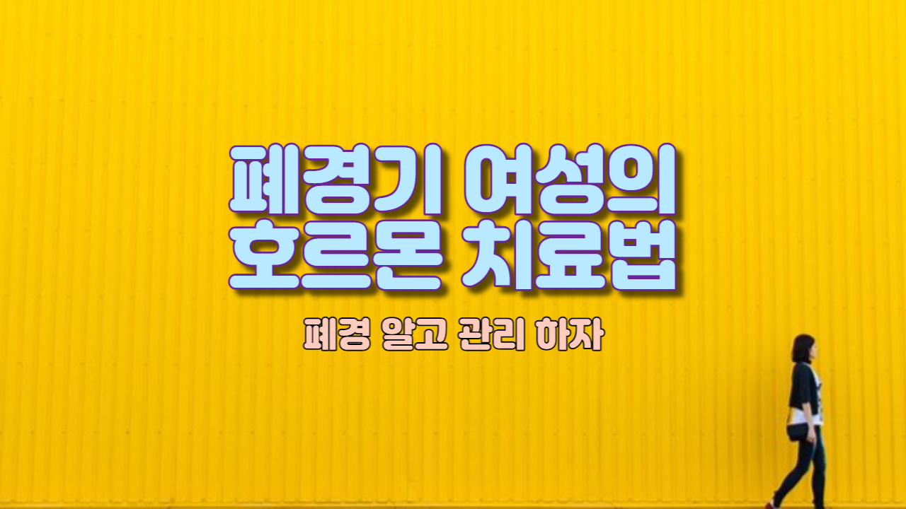  폐경기 여성의 호르몬 치료법
