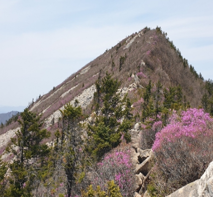 Seolak Mountain