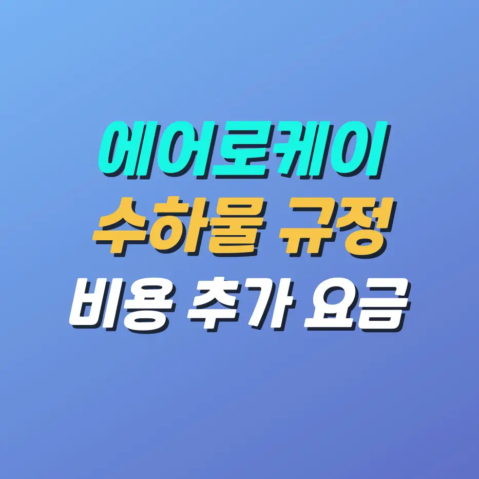 에어로케이-수하물규정비용추가요금