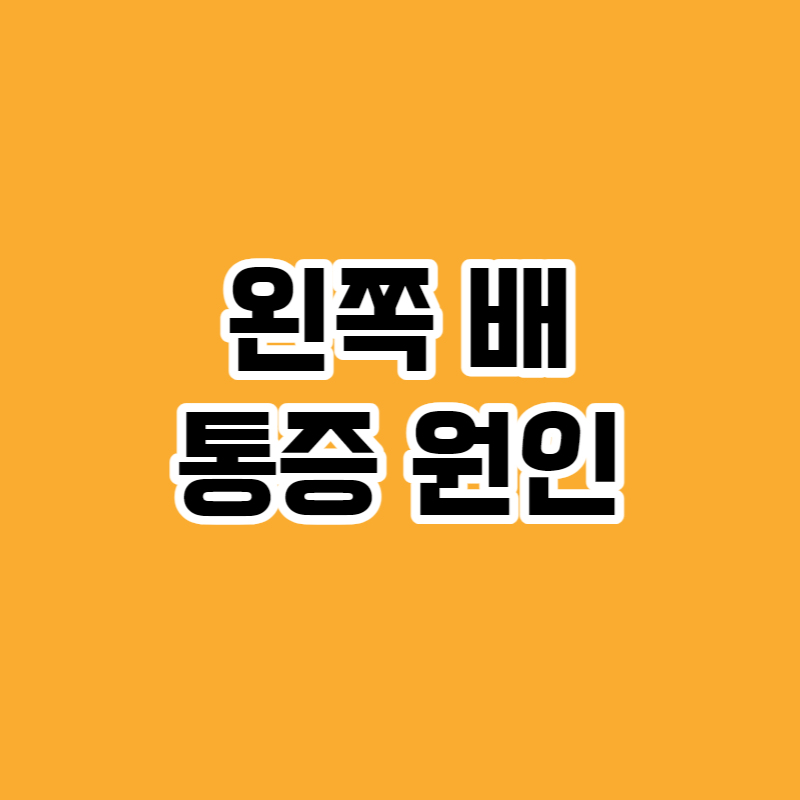 왼쪽 배 통증 원인