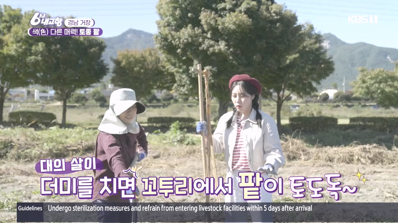 6시 내고향.E7897.231025p.H264-F1RST.mp4_20231025_200045.061.jpg