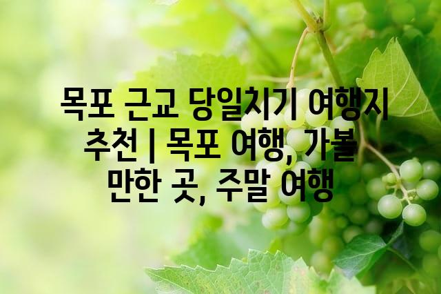 랜덤101