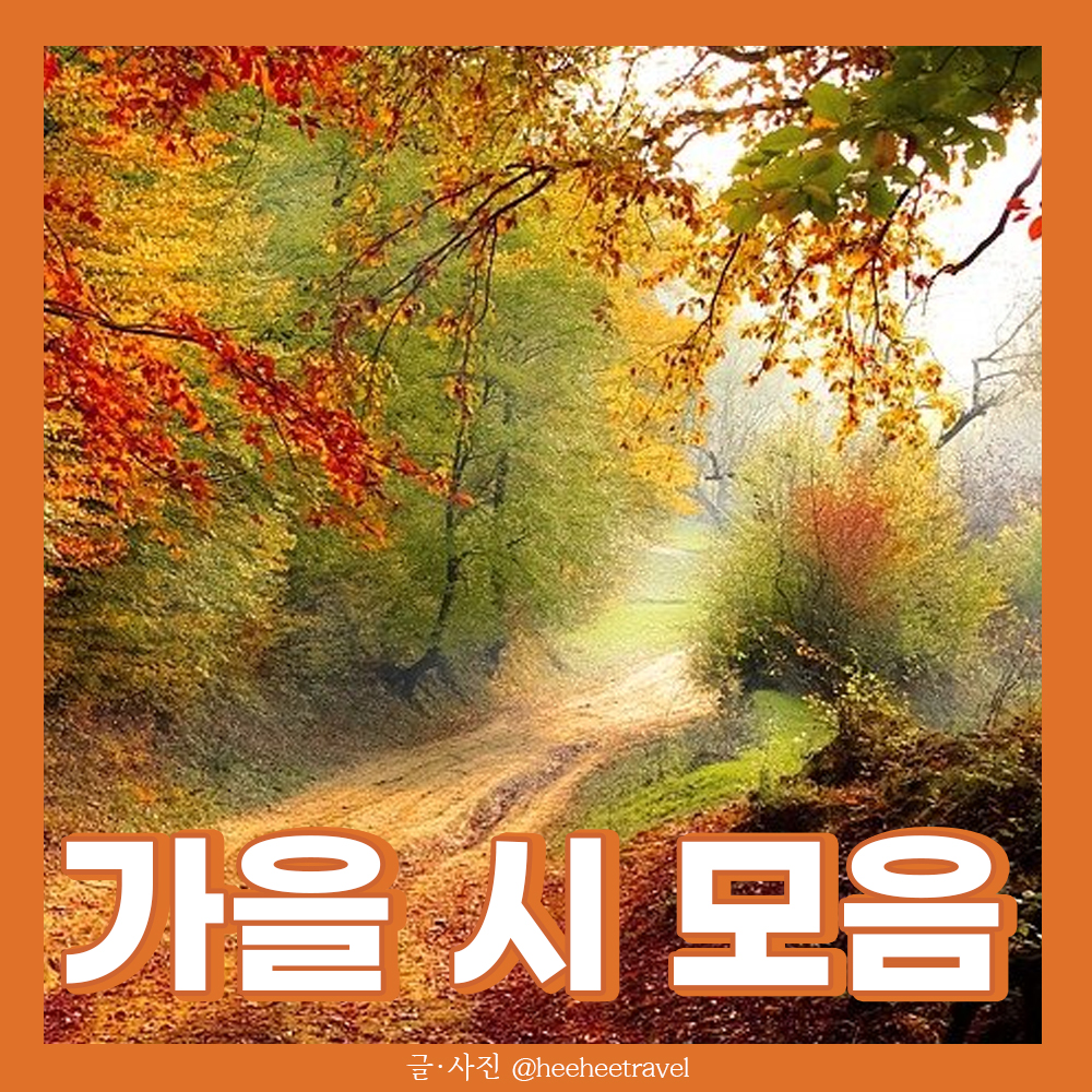 가을 시 모음 8가지 담백한 시