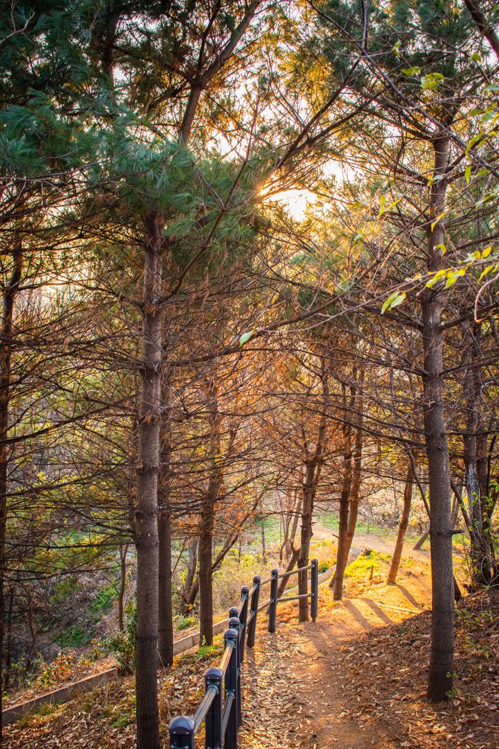 Memories of Yeonhui in autumn