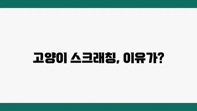 스크래칭을 통한 영역 표시