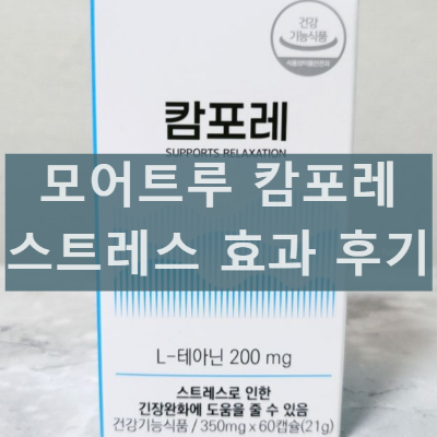 모어트루 캄포레 효능 효과 성분 복용 후기 내돈내산 부작용까지