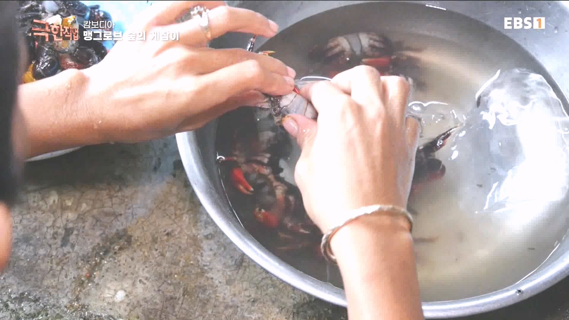 물뱀 사냥과 맹르로브숲의 게잡이 231021.mp4_20231025_211951.595.jpg