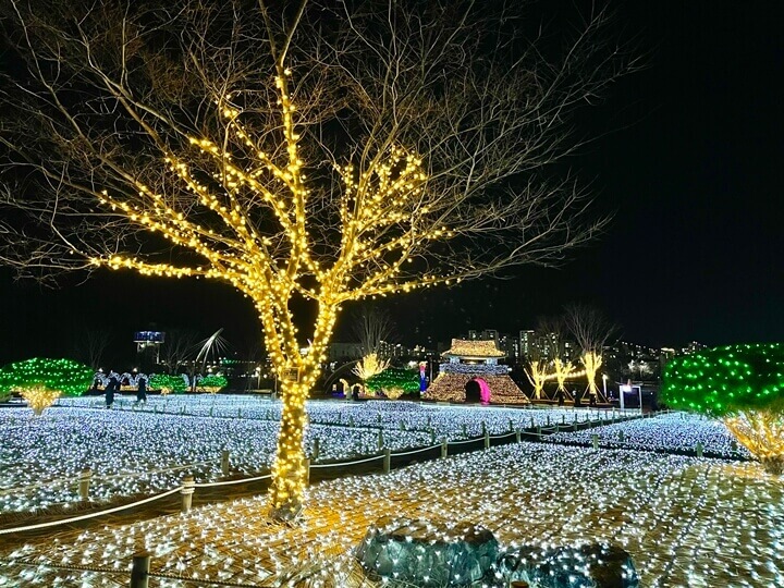 양산황산공원-불빛정원-빛축제