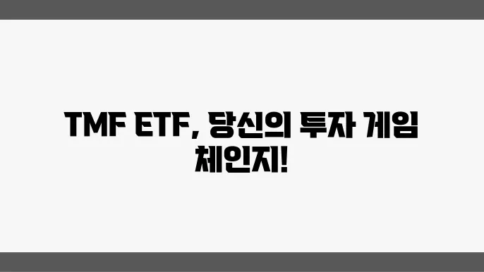 TMF ETF 투자 기본 전략