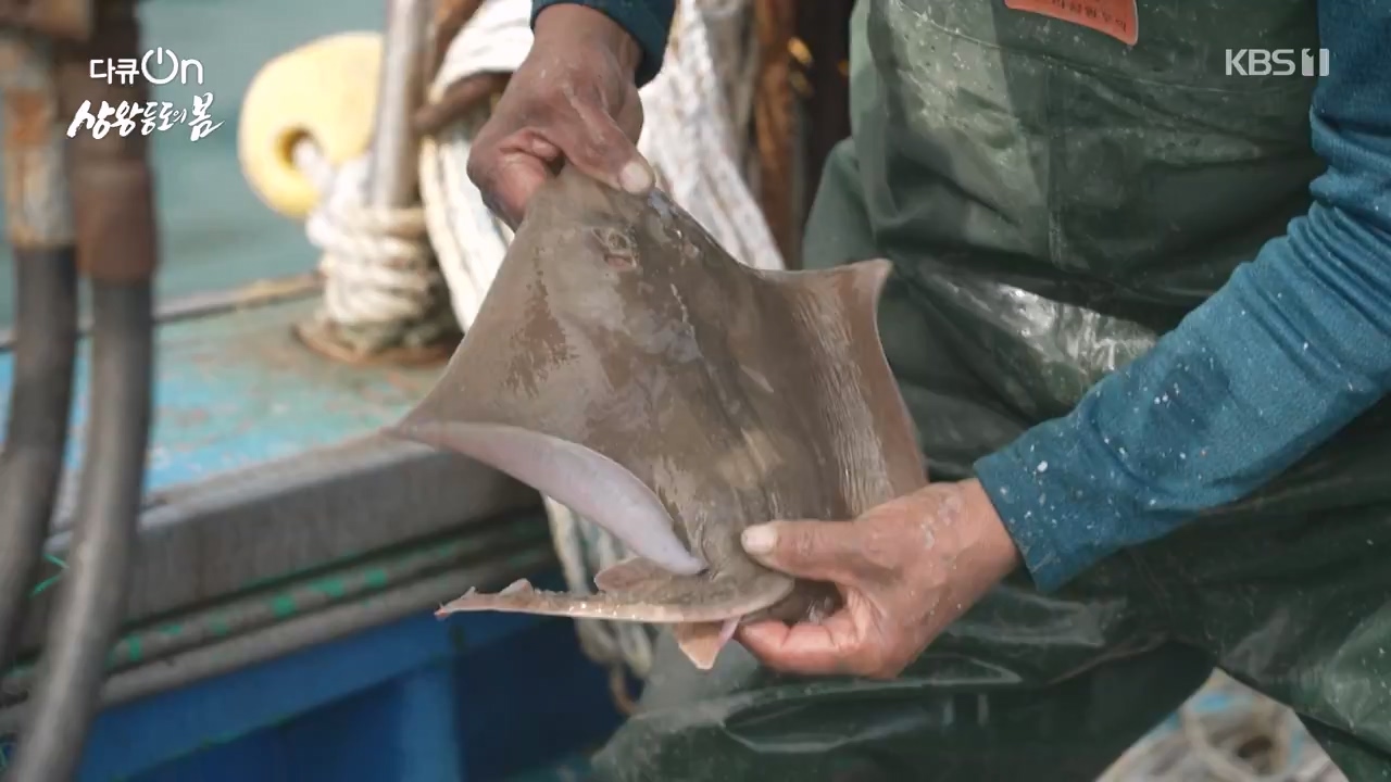 다큐 온.E249.240526p-NEXT.mp4_20240526_152347.976.jpg