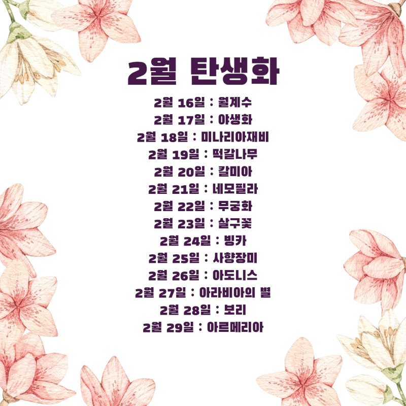 생일 축하 꽃말 2월 탄생화 (2월 1일-29일 날짜별 생일 꽃)