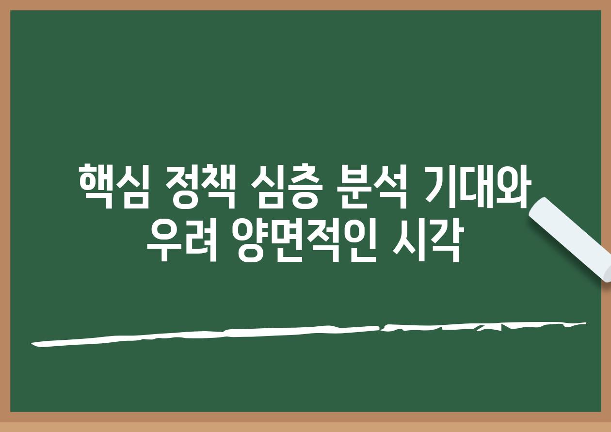 핵심 정책 심층 분석 기대와 우려 양면적인 시각