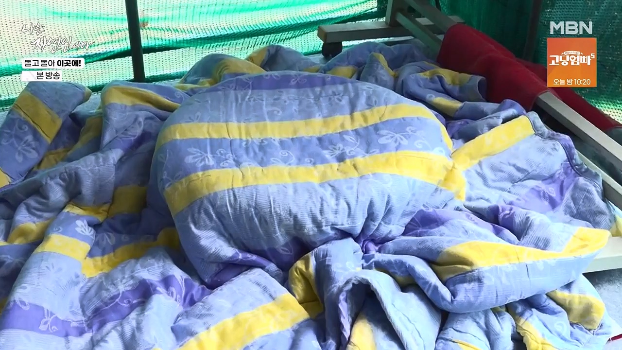 나는 자연인이다.E614.240718p-NEXT.mp4_20240718_195140.991.jpg