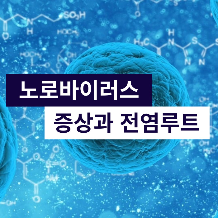 노로바이러스증상과전염루트