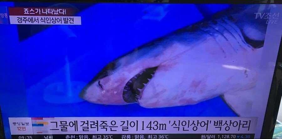   뚜뚜월드