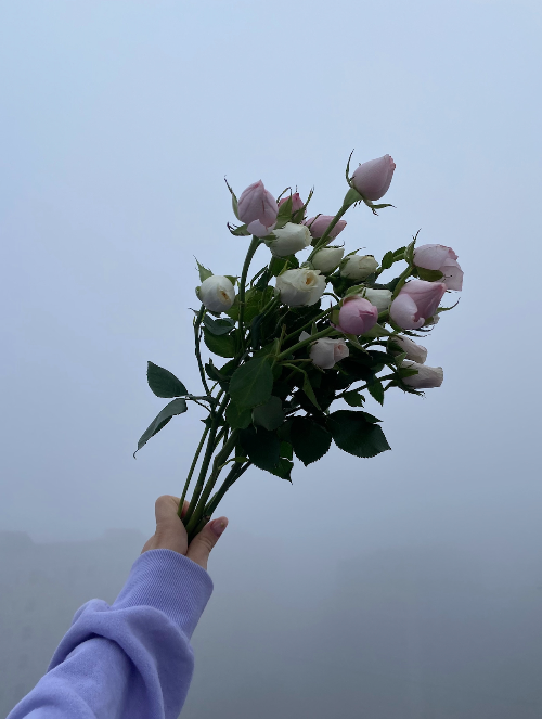 우울증 극복 방법 : 꽃