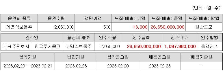 나노팀 공모주