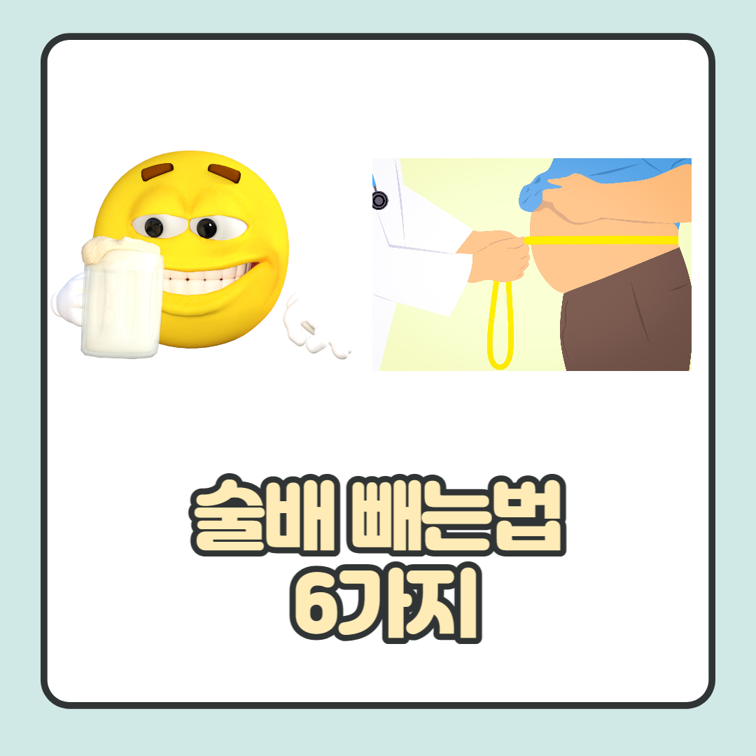  술배 빼는법 6가지: 술과 뱃살의 관계