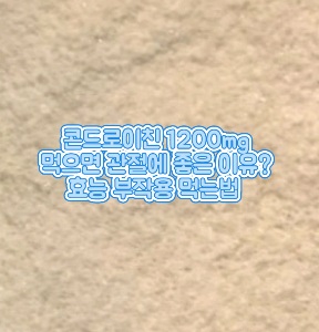 콘도로이친-1200-효능-부작용