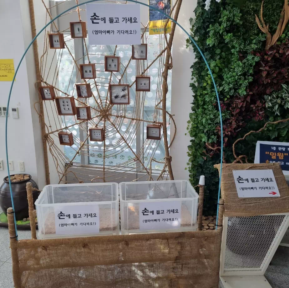 밀웜옮기기