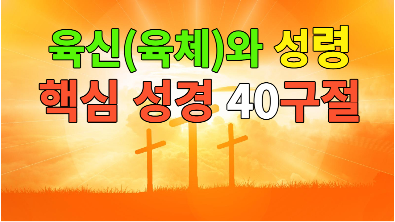  [생명의 말씀] 육신(육체)와 성령에 관한 핵심 성경 40구절