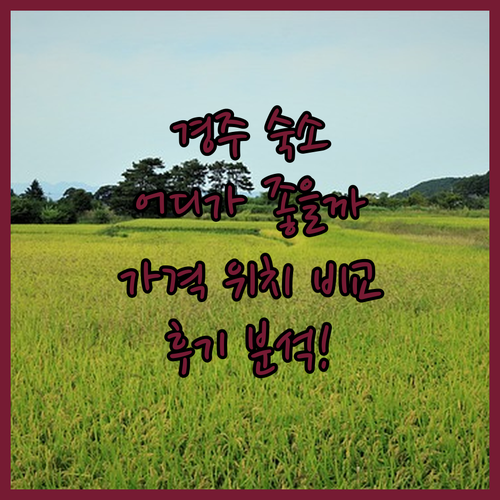 경주 여행, 어디서 묵을까? 🤔 인기