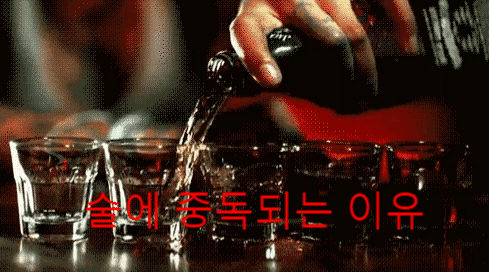  [속담] 음주 술, 중독되는 이유