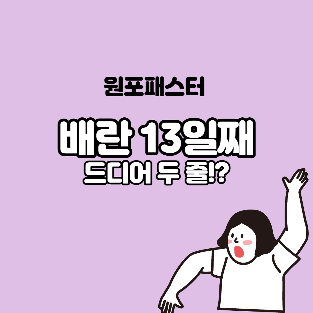  [6월] 배란 13일째 임테기 두 줄!?
