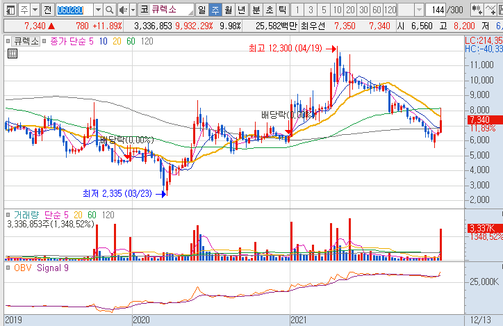 큐렉소-주가-흐름-차트