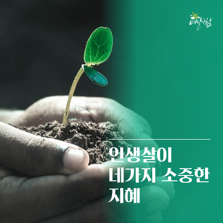  [매일아침좋은글] 인생살이 네가지 소중한 지혜
